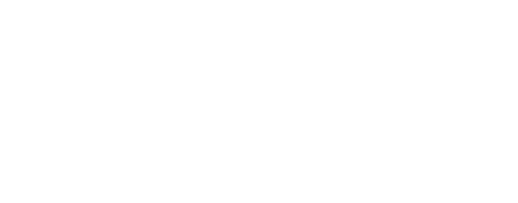 Maestro Riverso